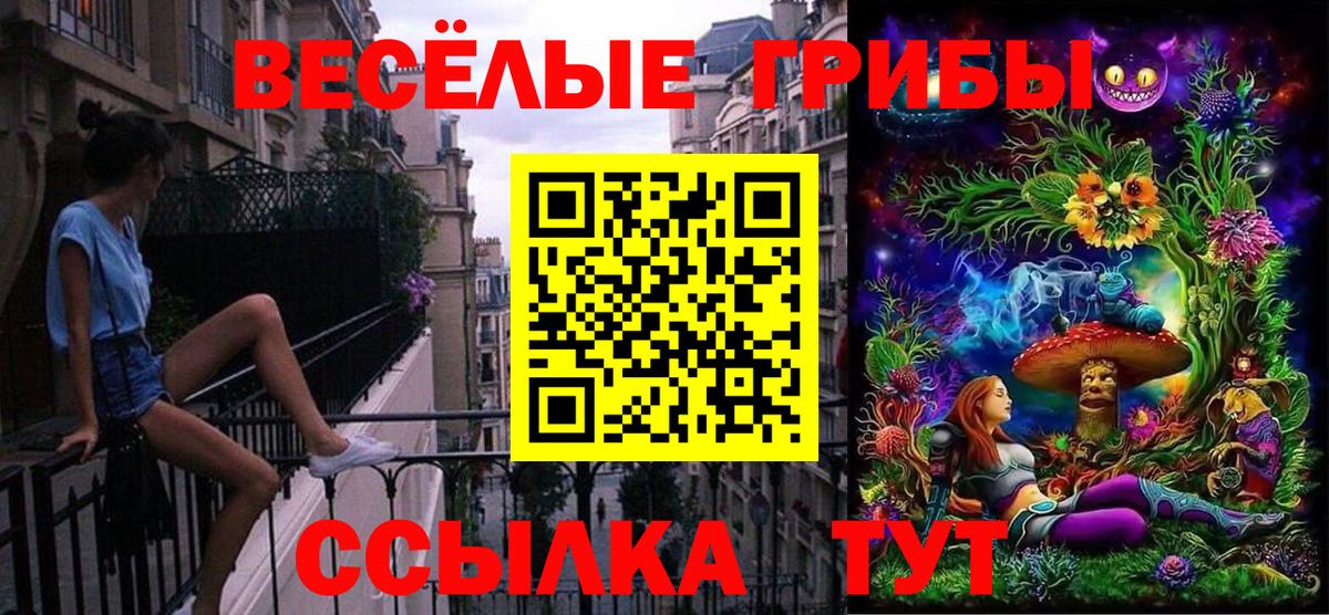Псилоцибиновые грибы Psilocybe Сарапул